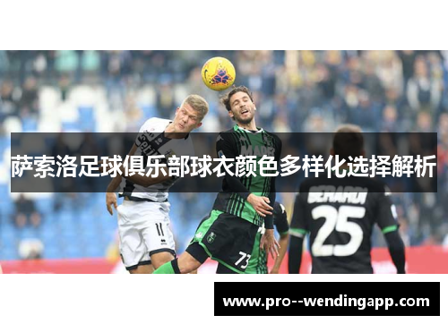 萨索洛足球俱乐部球衣颜色多样化选择解析