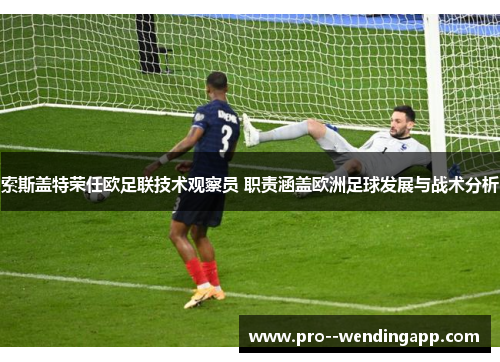 索斯盖特荣任欧足联技术观察员 职责涵盖欧洲足球发展与战术分析
