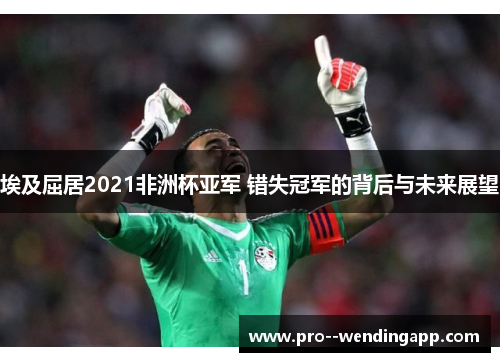 埃及屈居2021非洲杯亚军 错失冠军的背后与未来展望