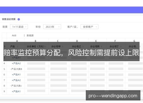 赔率监控预算分配，风险控制需提前设上限